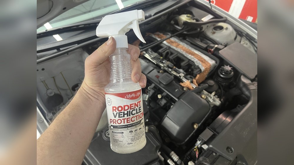 How to Keep Mice Away from Cars