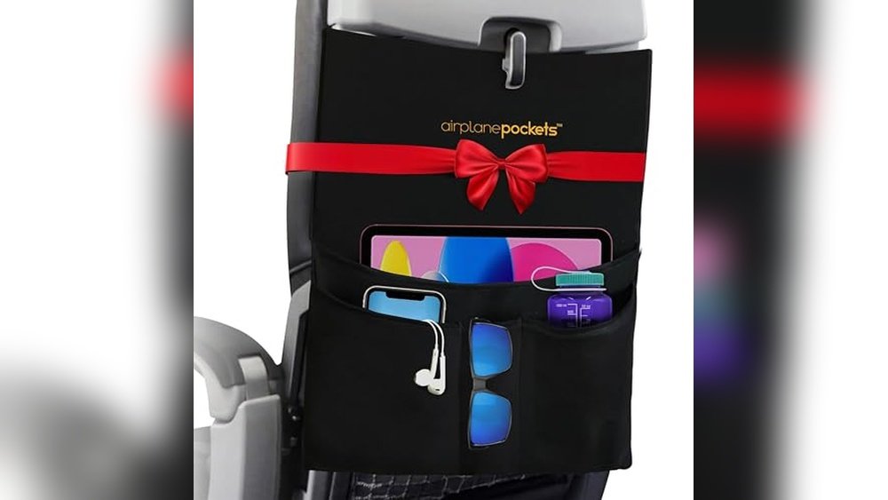 Seat Back Organizer Plane